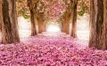 Pintura de paisaje de árboles de camino floral rosa de fotos a arte